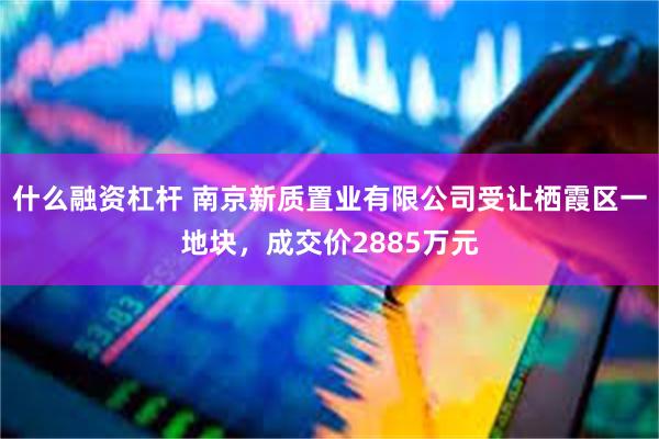 什么融资杠杆 南京新质置业有限公司受让栖霞区一地块，成交价2885万元