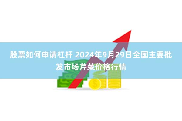 股票如何申请杠杆 2024年9月29日全国主要批发市场芹菜价格行情