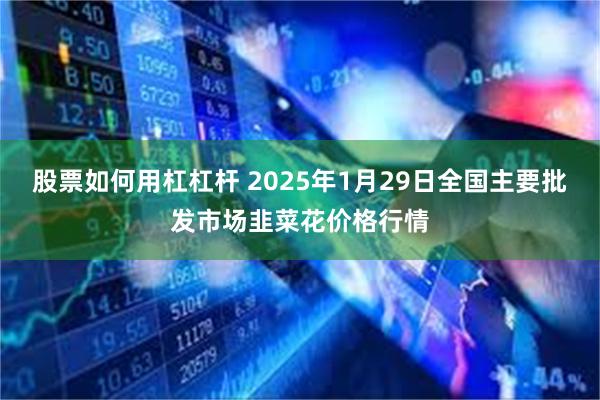 股票如何用杠杠杆 2025年1月29日全国主要批发市场韭菜花价格行情