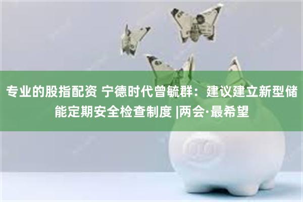 专业的股指配资 宁德时代曾毓群：建议建立新型储能定期安全检查制度 |两会·最希望