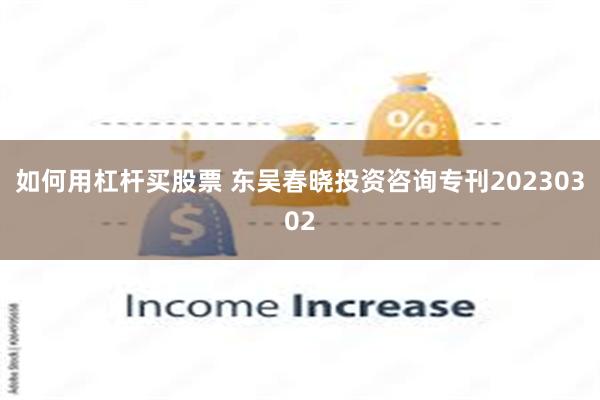 如何用杠杆买股票 东吴春晓投资咨询专刊20230302